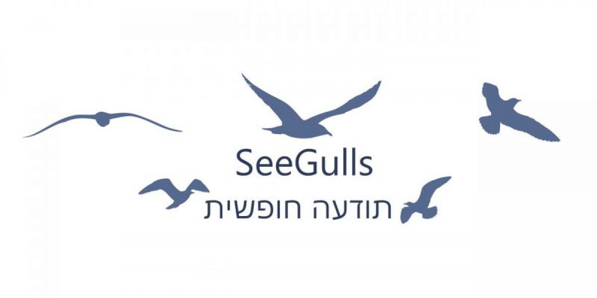 SeeGulls